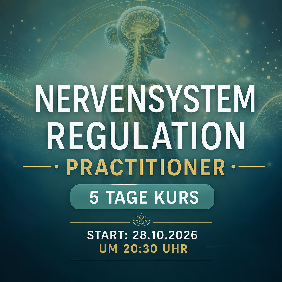 Nervensystem Regulation Practitioner - 5 Tage Kurs inkl Zertifikat Start: 28.10. um 20:30Uhr